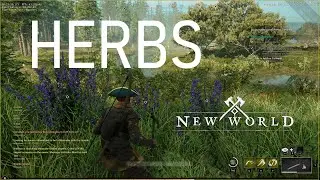 How to get Herbs in New World Game [Preview Event]