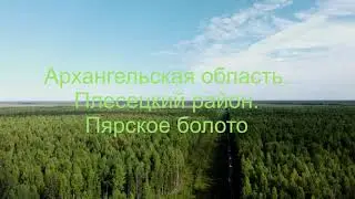 Россия. Архангельская область. Пярское болото.