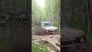 нива в болоте