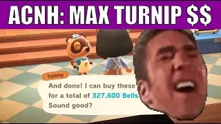 Maximising Profit For Turnips Animal Crossing New Horizons | Hidden Tips