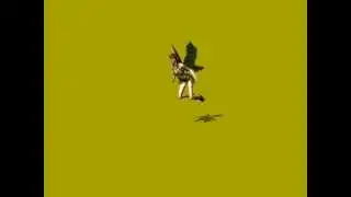 Wings Fairy on green screen