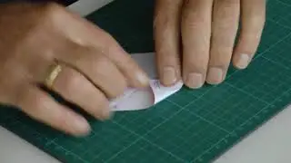 Brain challenge d2