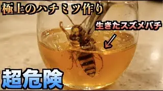 [Very Dangerous] Put live hornets in honey to make the best quality honey!!