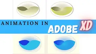 Adobe XD Tutorial | Animation in adobe xd | Urdu / Hindi