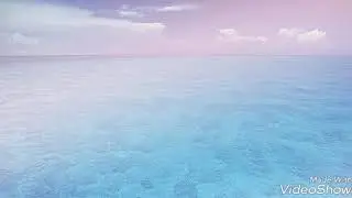 × I Døŋŧ Wªŋŋª Bē × Meme