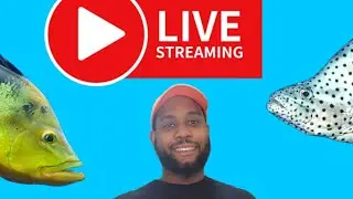 CS House of Fishkeeping is live!