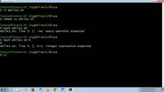 while loop in shell script