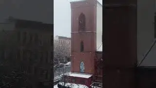 Snowstorm hits NYC (First time in over 2 years)