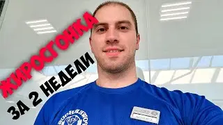 СГОНЯЕМ ЖИР ЗА 2 НЕДЕЛИ