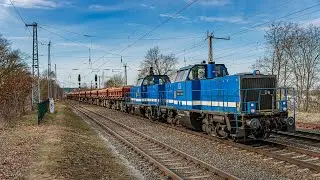 Sichtungen aus Saarmund 20.02.2021