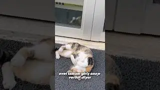 Sabancı Yurtlarındaki Güvenlik Görevlileri🔐