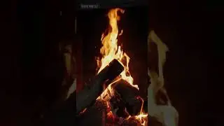 Fireplace with Burning Logs and Crackling Fire Sounds  