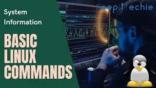 System Information | Basic Linux Commands for Beginners