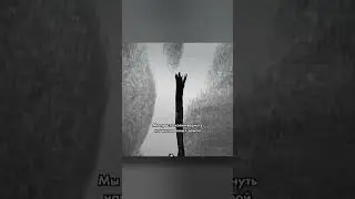 Жены мобилизованных не молчат! 