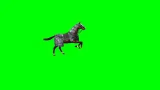 horse animation green screen