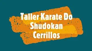 TALLER KARATE DO SHUDOKAN CERRILLOS