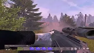 Иней на яичках #dayz #arcanezone