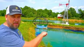 A Fish of a Different Color - Restocking the Farm Pond