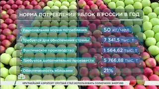 Деловое утро 10.08.18