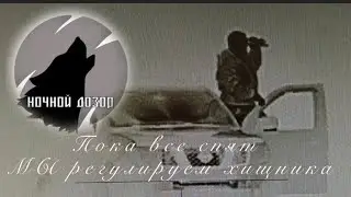Охота на хищника. Пока все спят, МЫ, «НОЧНОЙ ДОЗОР» регулируем численность хищника.(фильм 1)