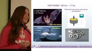 Лекция М.А. Карзовой 