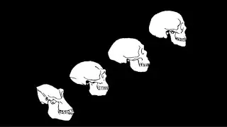 Three mysteries of human evolution