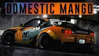 DOMESTICMANGO'S SILVIA / NEED FOR SPEED