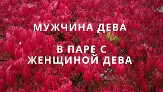 МУЖЧИНА ДЕВА ♍️ И ЕГО СОВМЕСТИМОСТЬ В ПАРЕ С ЖЕНЩИНОЙ ДЕВА♍️