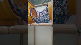 Karina plays in the playground