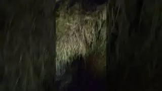 Творческий сеновал)