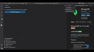 How to see your MongoDB Database and Scheme in Visual Studio Code || MongoDB || Visual Studio Code||