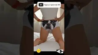 Трусы с принтом 3D в виде животных с ушами «Мопс!» размер 38-42.