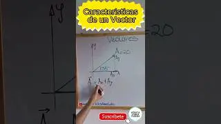 What is a vector? 