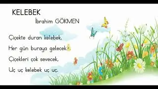 Kelebek