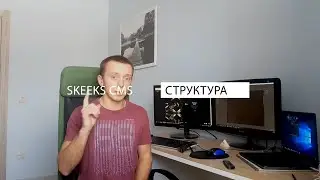 Структура проекта на SkeekS CMS и обзор базовых yii2 проектов.