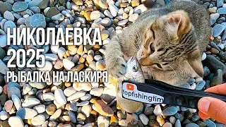 РЫБАЛКА НА ЧЕРНОМ МОРЕ в Николаевке ЛЕТО 2025 год.