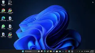Mi PC no reconoce el internet en Windows 11 / Internet no funciona el Windows 11