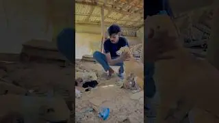 Save pet lyf 🫂❣️#reels #viralreels #trending #doglover #dogs #dogslife #milk #carlie #daylife #sad