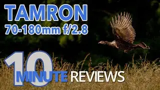 Traveling light with the Tamron 70-180mm f/2.8 Di III - Lens Review