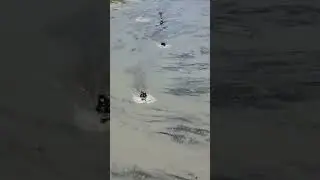Алтай 2023. Сьёмки с дрона