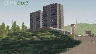 grass DayZ