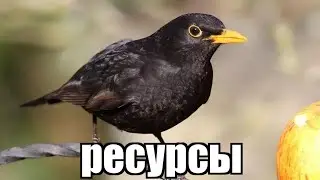 ГАЙД КАК ВЫБИТЬ ТОПКУ НА ПМ | pvp politmine prod. 