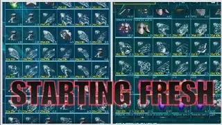 Getting Started On Ark Small Tribes Ps5 PvP