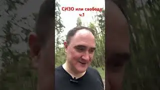 СИЗО или свобода #юристонлайн #адвокатпоуголовнымделам #предварительноеследствие #адвокаттатаринов