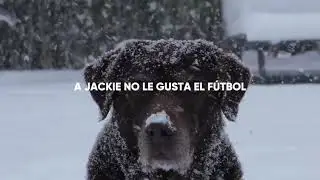TODOS NECESITAMOS UNA CAMISETA