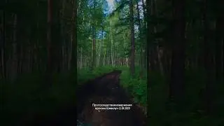 Камчатский пеплопад (рассказ очевидца) 