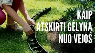 Kaip atskirti gėlyną nuo vejos / Apželdinimo kursai Geltonas Karutis