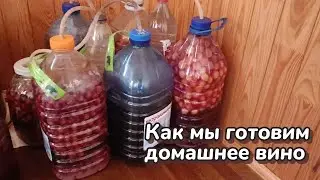 Как мы готовим домашнее вино