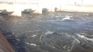 California Aqueduct Gates (north) wide open