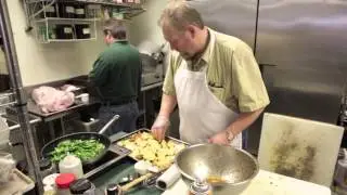 Culinary Fox Teaser